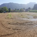 원요진농장 이미지