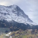 다시올게 이미지