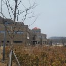 도도리파크(실외) 이미지