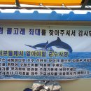 돌고래좌대낚시터 이미지