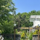 송강쉼터식당 이미지