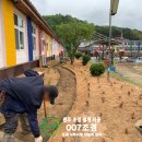 원주초등학교 병설유치원 이미지