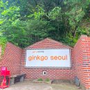 안기경로당 | 강서구 카페_힐링과 고즈넉한 매력의 깅꼬서울/ 신상카페 한옥카페 개화 김포카페 내돈내산 주말 나들이