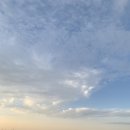 평대전복 이미지