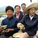 새참막걸리