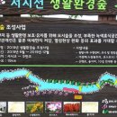 동경장 이미지