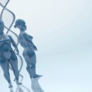 크라운 행정사 이미지