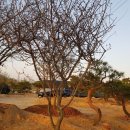 서부농장 이미지