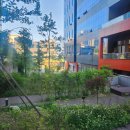 성남지산마스터부동산중개사무소 이미지