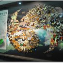 레스토리 이미지