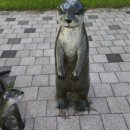 수달생태공원 화장실 이미지