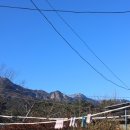 솔향민박 이미지