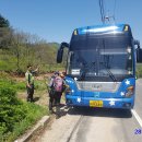 파레스사우나 이미지