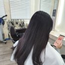 둘리미용실 이미지