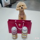 오산다문화사회적협동조합 | 오산 원동 디저트 맛집 이든카페, 호두과자/파이 전문점, 답례품/귀성길 간식으로 추천!