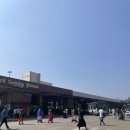 11500-9-76-05 | 인도 마두라이 여행#05 버스 타고 마두라이 공항 가는법, 마두라이에서 콜롬보 스리랑카 항공 탑승후기