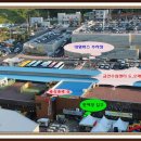 금산인삼센터