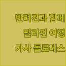 카사 돌로레스 라이야 바탕가스? 반려동물과 함께 떠나는 필리핀 여행 후기