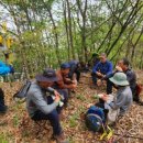 신설아구집 이미지