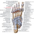 헬스보이짐 문래역점 이미지