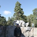 핀란드가 낳은 세계적인 음악가인 시벨리우스를 기념하여 조성한 공원인 시벨리우스 공원(Sibelius Park) 이미지