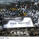삼성기름 이미지