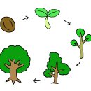 나무랑 풀이랑 이미지