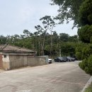 경기도 수원시 장안구 장안로42번길 | [수원 장안구 맛집] 이목동한우마을 | 프라이빗 개별...미리 예약하고 다녀온 1++한우 정육식당 솔직후기