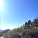 스마트부동산공인중개사사무소 | 용인 동백 향린동산 토지 매매 (잔여 1,267㎡, 건축허가 득, 매매 9억, 분할가능)