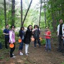 코세스해피빌리지 이미지