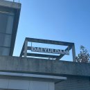 눈카페 | [김제] 전주 근교 김제 크리스마스트리 포토존 &amp; 눈 내리는 뷰 카페 솔직 후기