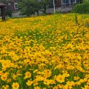 구름 동산 서녘 노을 이미지
