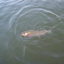 구만리낚시터 이미지