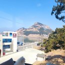 바다정원 | 장자도 카페 추천 🌊 장자바다정원카페 솔직 후기 (뷰 맛집 인정)