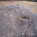 낭주농장 이미지