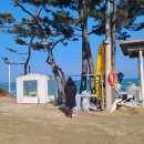 가이택펜션 | 내돈내산)강릉 바다뷰 애견동반펜션 가이텍펜션 후기