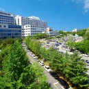 아산병원 이미지