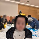 킹콩순두부 | 부산 신세계 백화점 센텀시티점 리틀 킹콩 솔직 후기