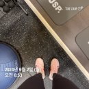 비바구구 | [9월 1주차] 이제 좀 그만 자라줘라 혹들아, 맘모톰으로 시작하는 9월