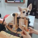 위풍당당한의원 이미지