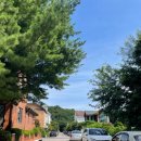 무궁화로86번길 이미지