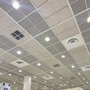 2026 서울 국제 도서전 후기