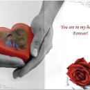 천재호 카카오 검색결과