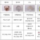 커피지도사2급 이미지