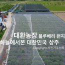 대환 농장 이미지