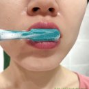 포레스트모가 | 올영 내돈내산 루치펠로 미스틱 포레스트 치약, 칫솔 쏘쏘