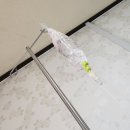 전주 한나산부인과 출산 후기(자분실패 응급제왕)