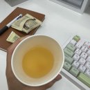 이백목장 | 26년 6월 4주차 | 너무 잘 놀러다녀서 읽다가 피곤해질 수 있음⚠️