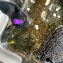 증평수족관 이미지