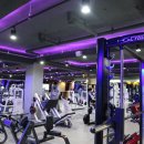 에너메카 휘트니스 이미지